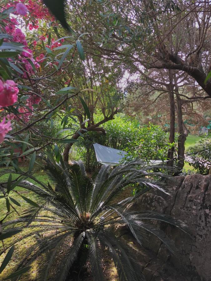 Villa 4 Porto Rotondo Exteriör bild
